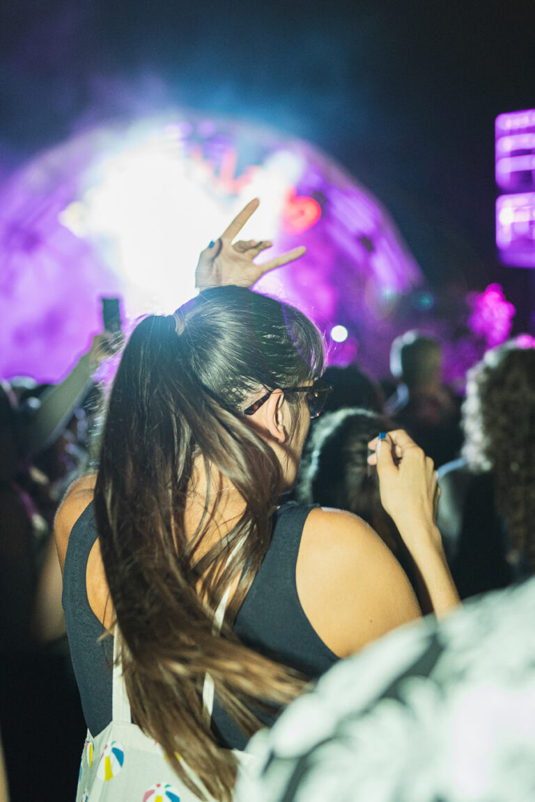 Eine Frau mit einem Pferdeschwanz steht mit dem Rücken zur Kamera in einer Menschenmenge und hebt bei einem Konzert die Hand.
