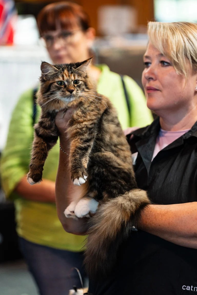 A woman holds a fluffy brown tabby cat with white paws, while another woman stands in the background.