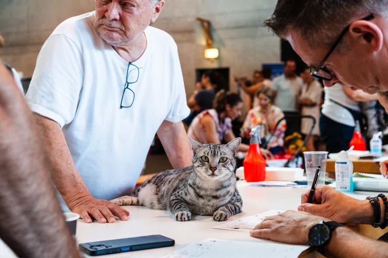 A spotted cat lies on a table at a cat show, while a man stands nearby and another man writes on a paper.