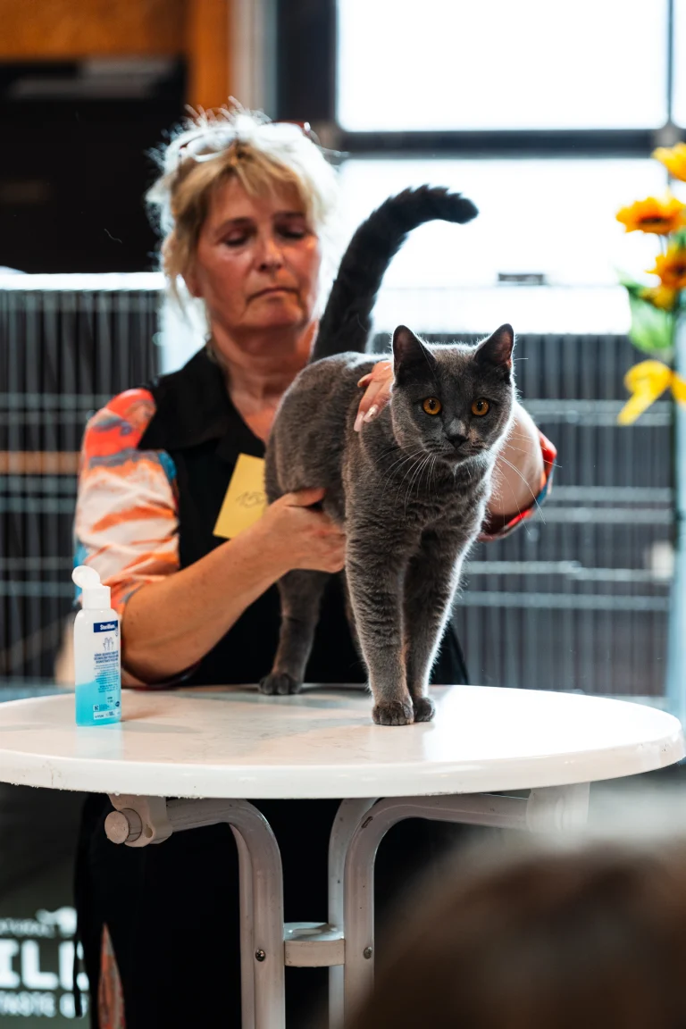 A woman holds a grey cat with bright orange eyes standing on a white table.