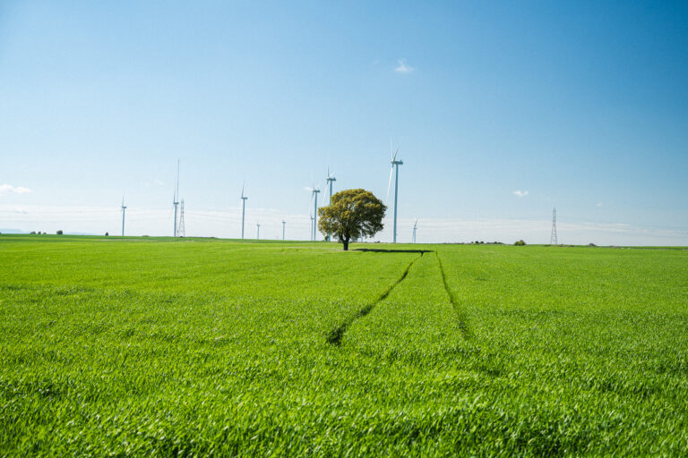 A single tree stands in the middle of a vast green field with tire tracks leading toward it, and several wind turbines dot the horizon under a clear blue sky.
