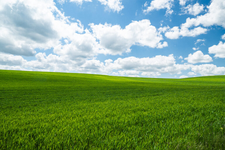 Rolling green hills under a blue sky filled with scattered white clouds.