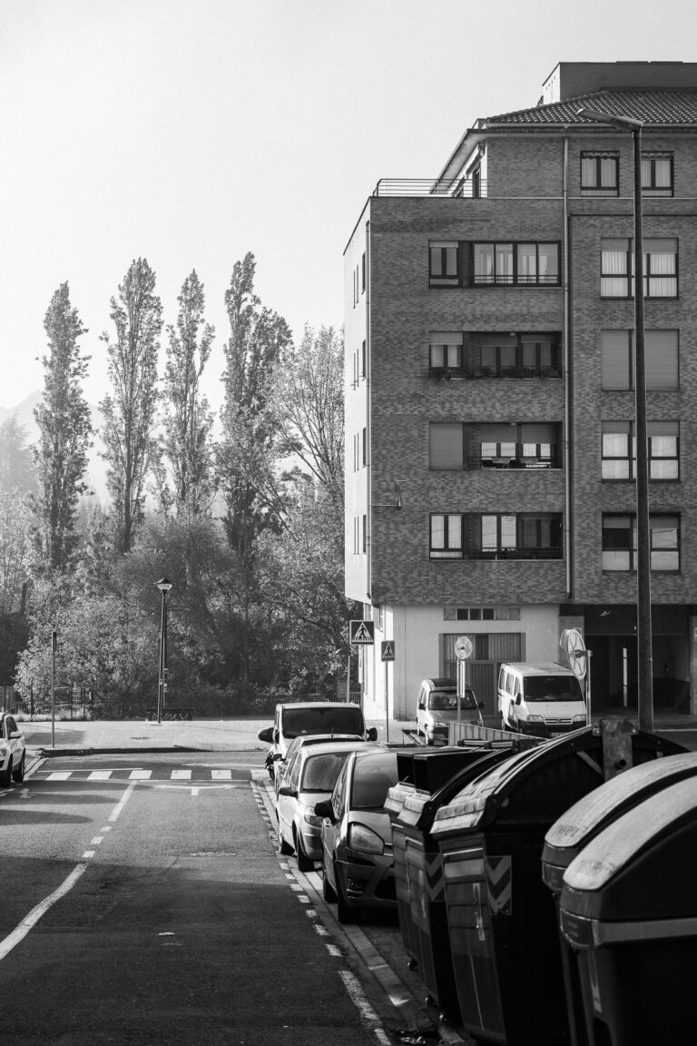 Fekete-fehér utcakép az úttest szélén parkoló autókkal, a előtérben lévő nagy hulladékgyűjtőkkel, valamint háttérben álló magas fákkal és egy többszintes téglaépülettel.