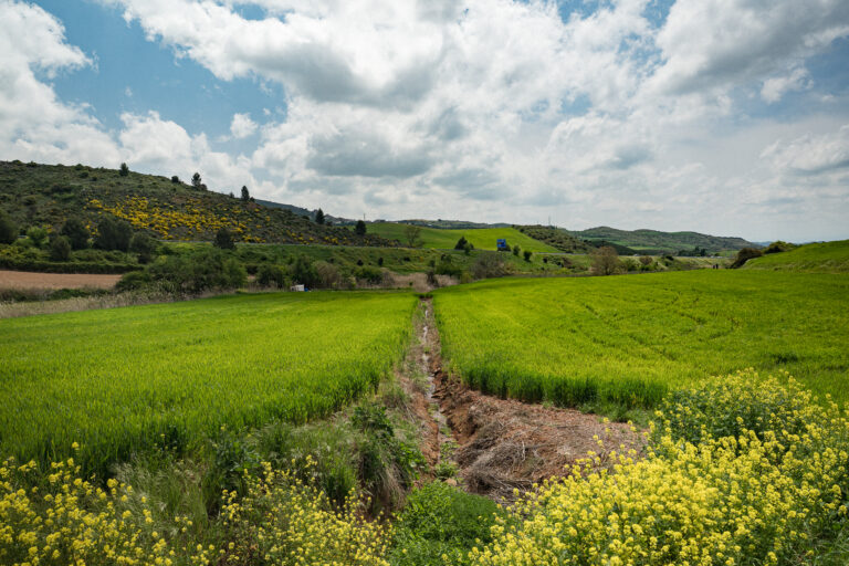 A narrow drainage ditch cuts through bright green crop fields toward rolling hills under a cloudy sky.