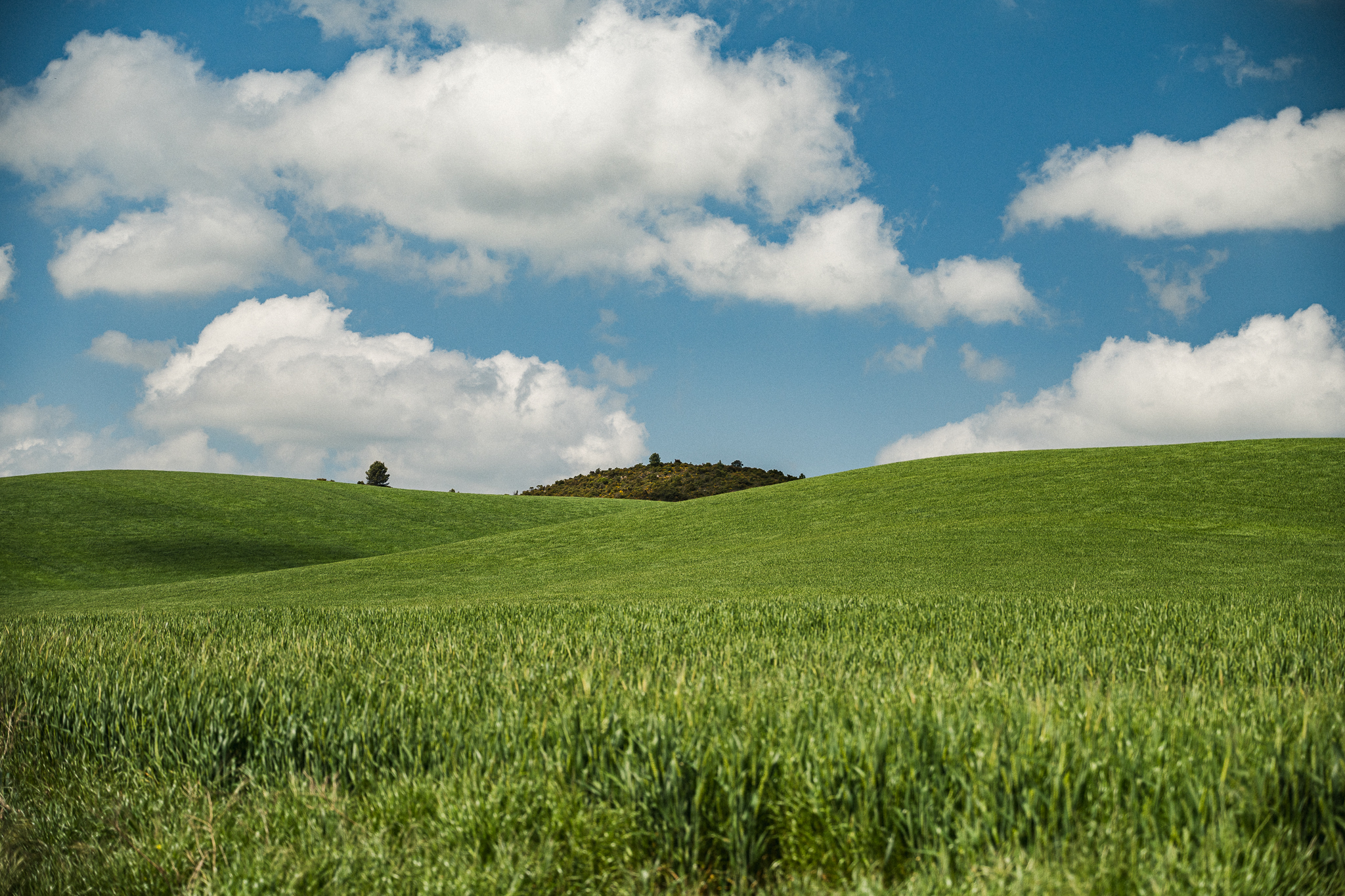 Rolling green hills under a blue sky filled with white cumulus clouds.