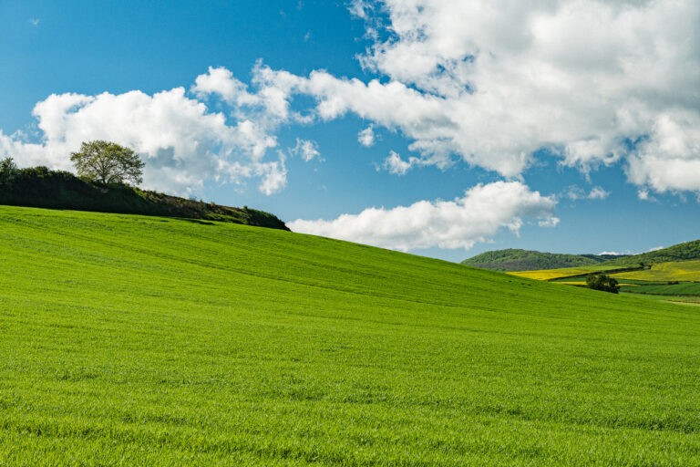 A green sloping agricultural field under a blue sky with scattered white clouds.