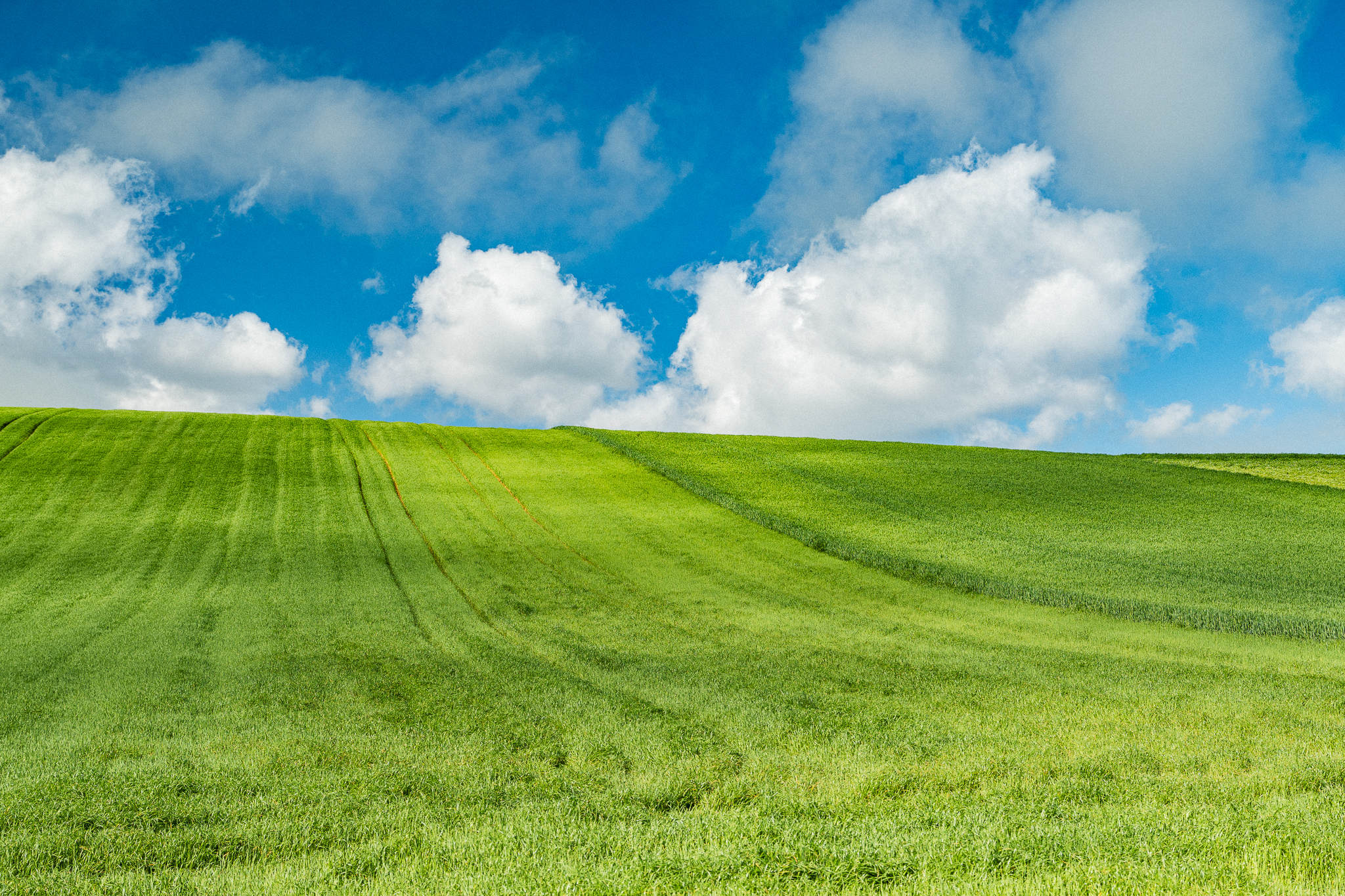 A rolling green field under a blue sky with scattered white clouds.