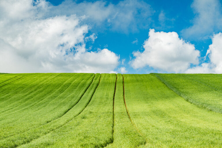 Green rolling hills with parallel tractor tracks ascend toward a blue sky filled with white cumulus clouds.
