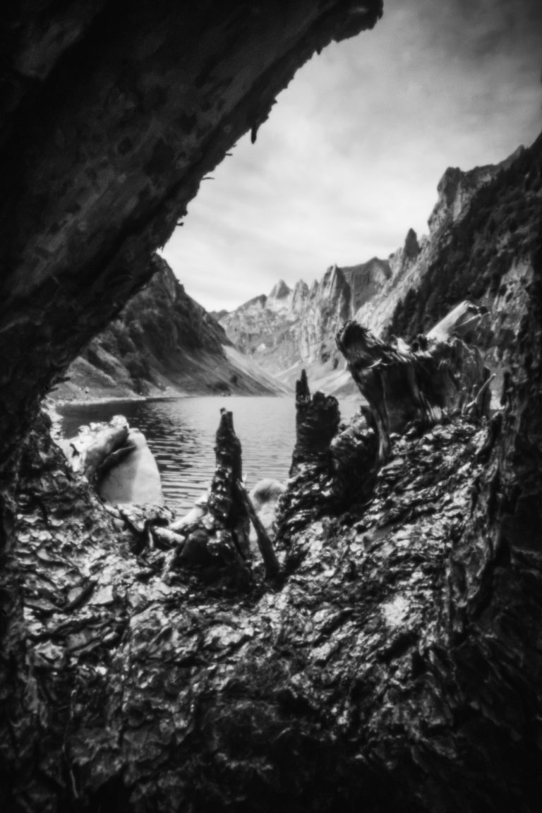 Eine schwarz-weiße, weich gezeichnete Landschaftsansicht, eingerahmt durch eine natürliche Baumhöhle, die zackige Berggipfel im See zeigt.
